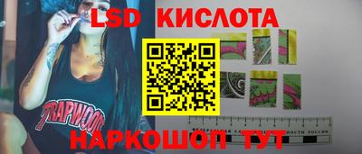 гидра Камышлов