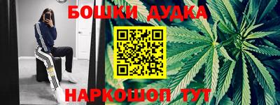 гидра Камышлов
