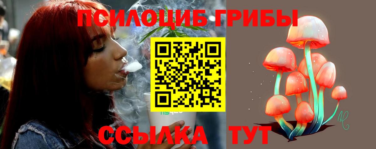 Лосино-Петровский  Галлюциногенные грибы ЛСД  Вход с VPN 